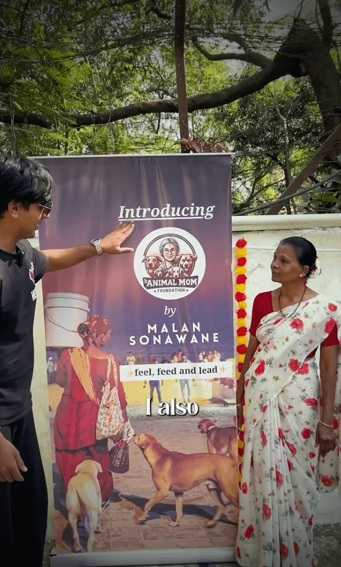 Help Malan rescue and feed 1000s of animals